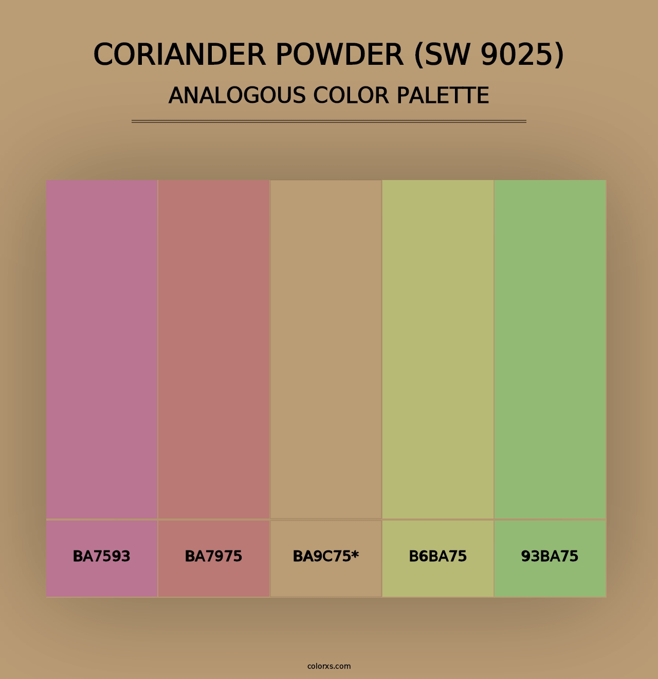 Coriander Powder (SW 9025) - Analogous Color Palette