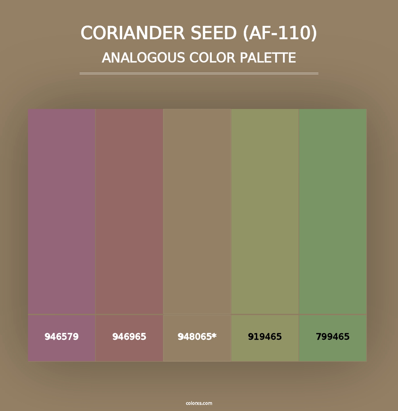 Coriander Seed (AF-110) - Analogous Color Palette