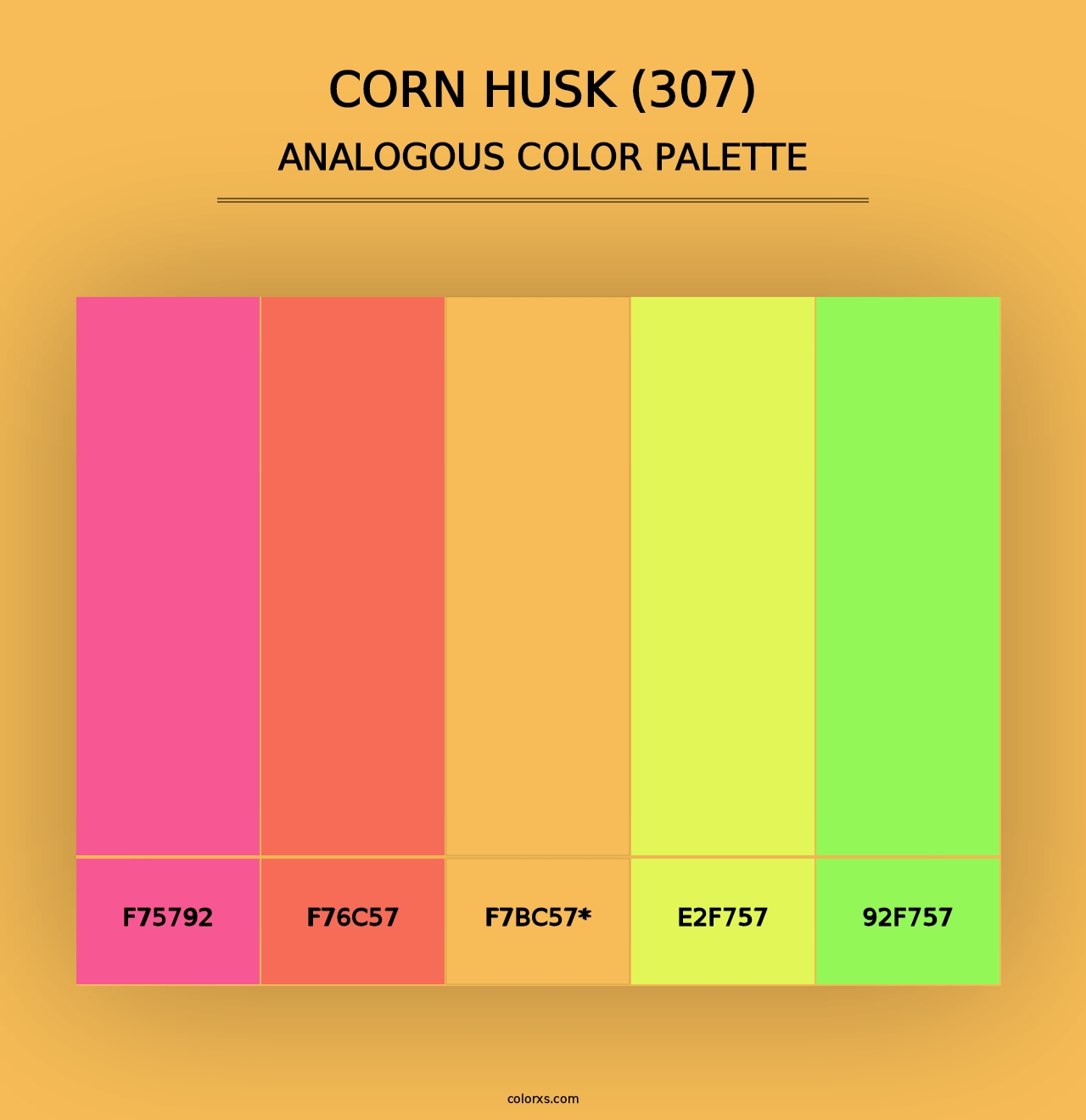 Corn Husk (307) - Analogous Color Palette