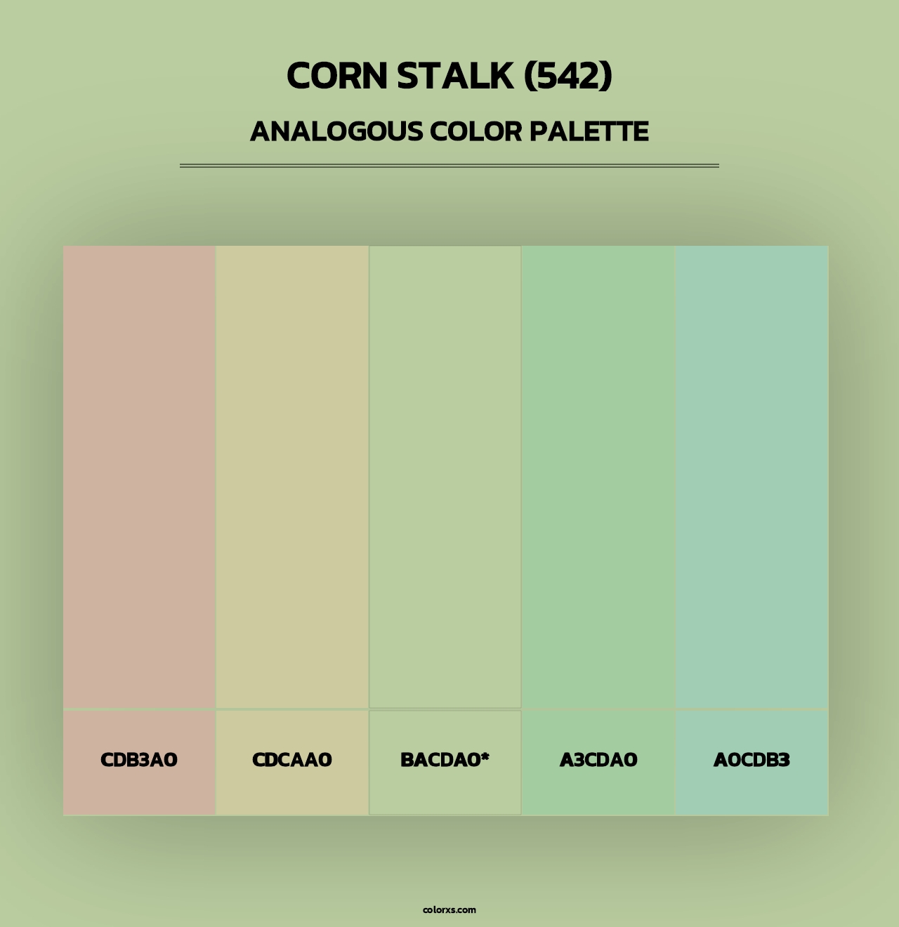 Corn Stalk (542) - Analogous Color Palette