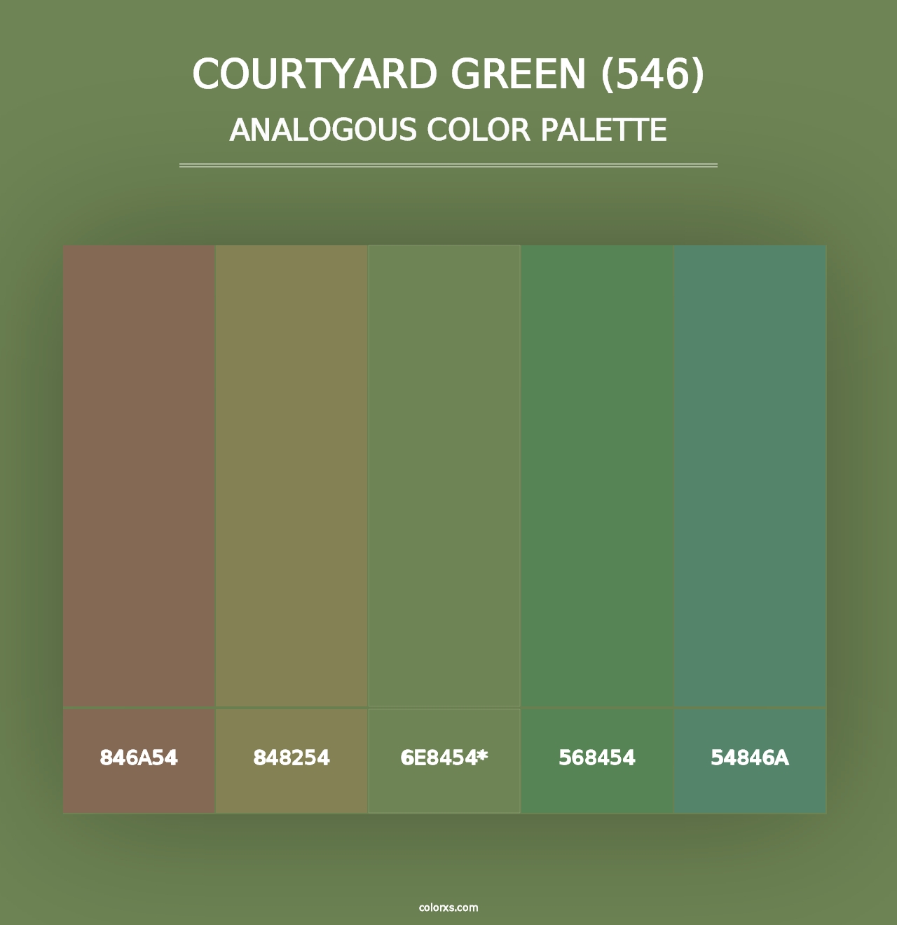 Courtyard Green (546) - Analogous Color Palette