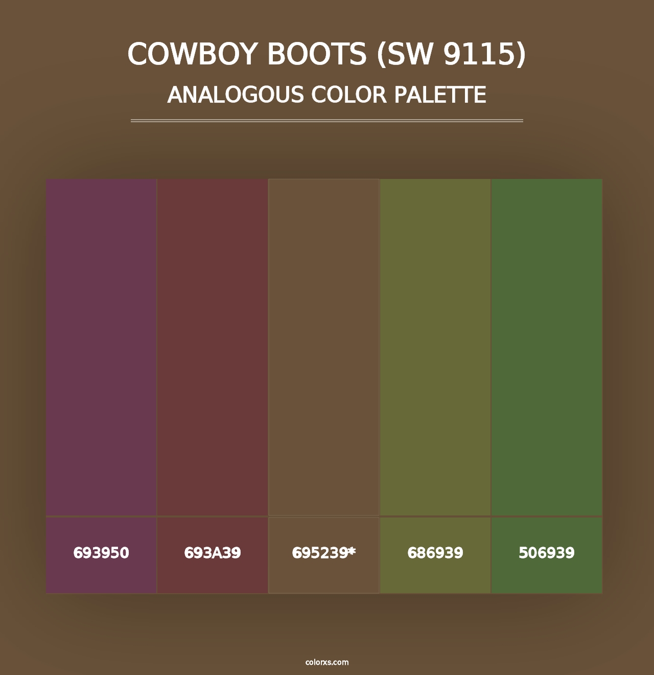 Cowboy Boots (SW 9115) - Analogous Color Palette