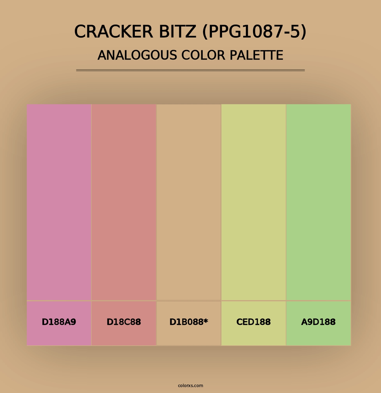 Cracker Bitz (PPG1087-5) - Analogous Color Palette