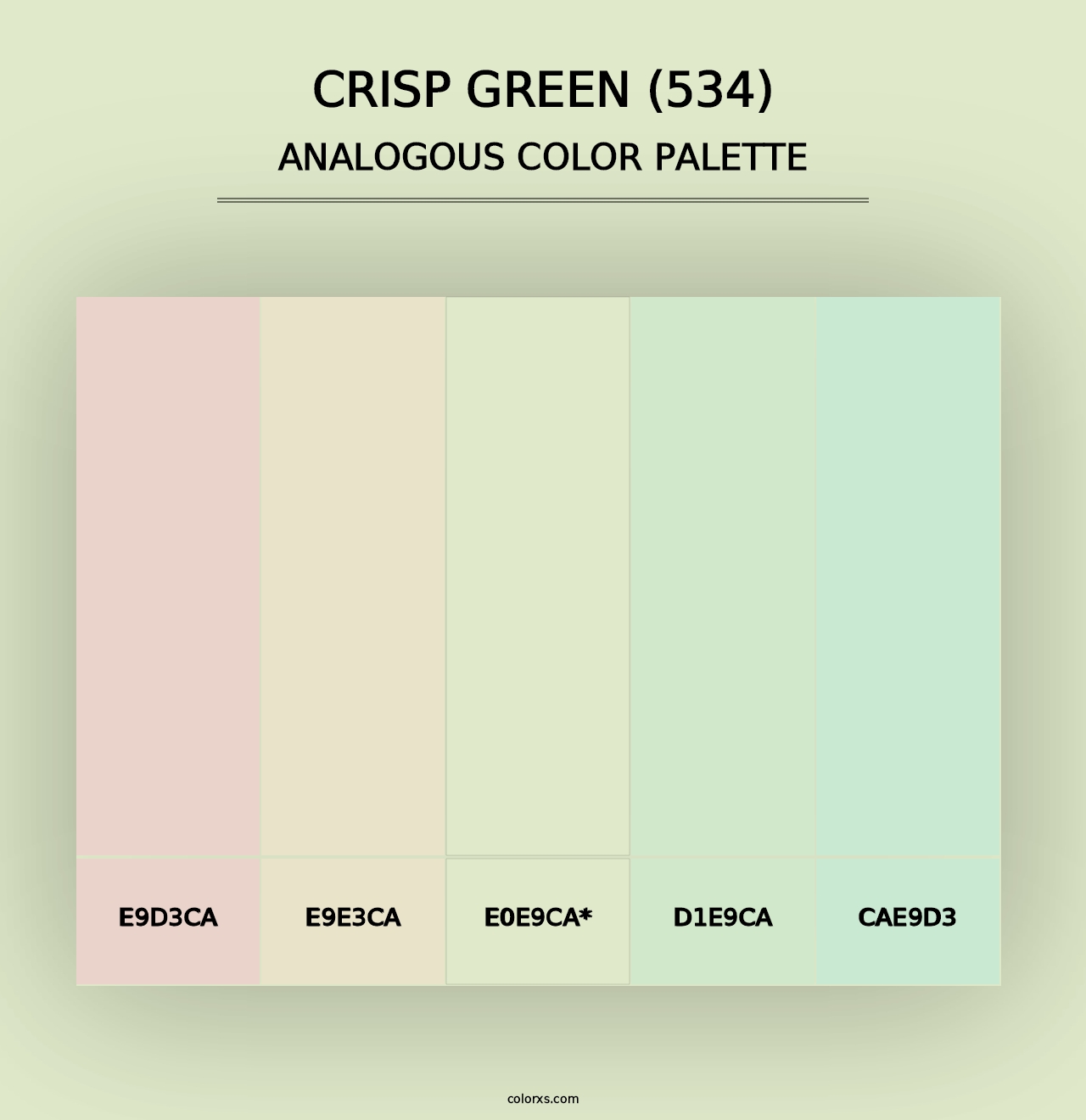 Crisp Green (534) - Analogous Color Palette