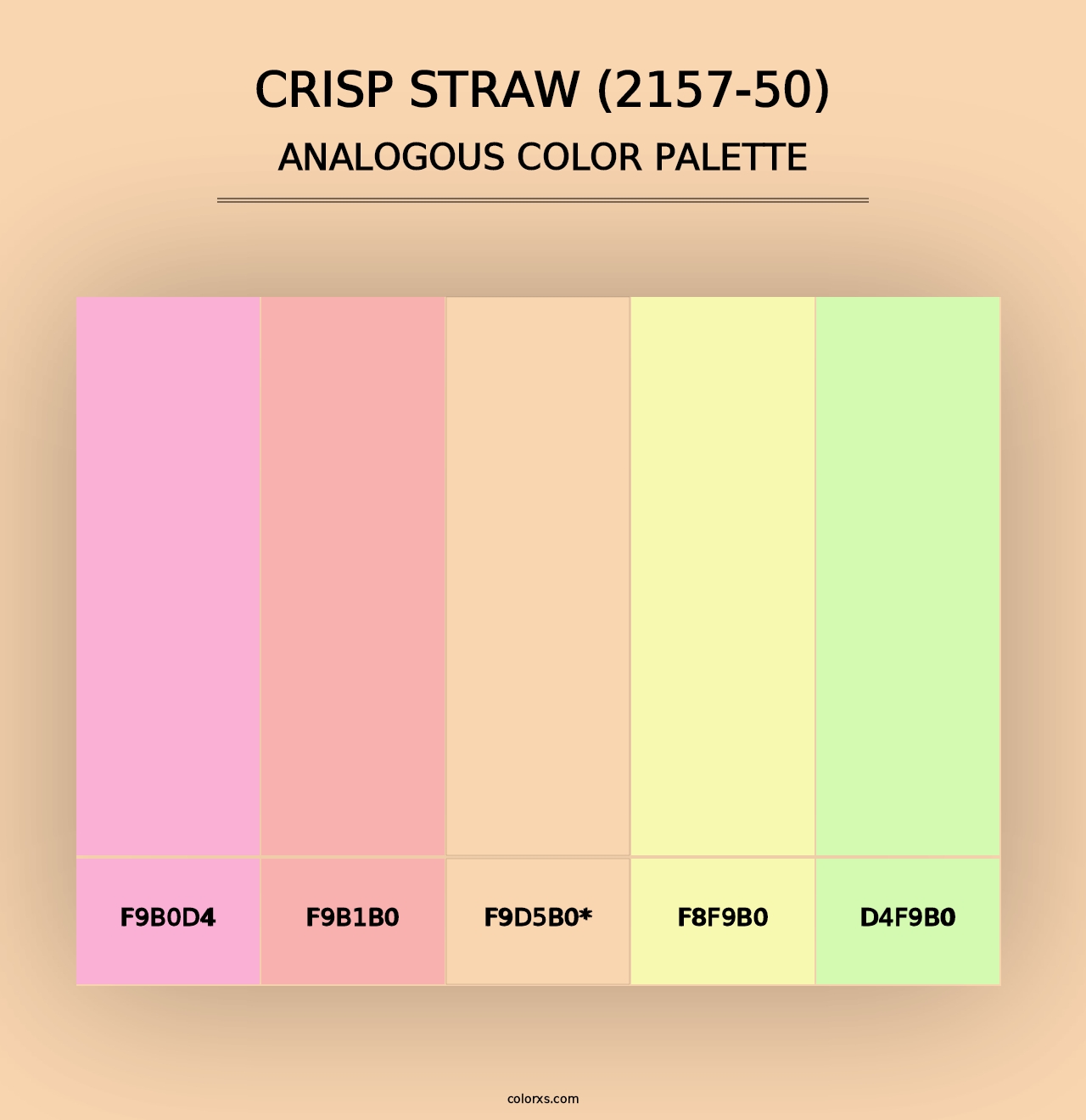 Crisp Straw (2157-50) - Analogous Color Palette