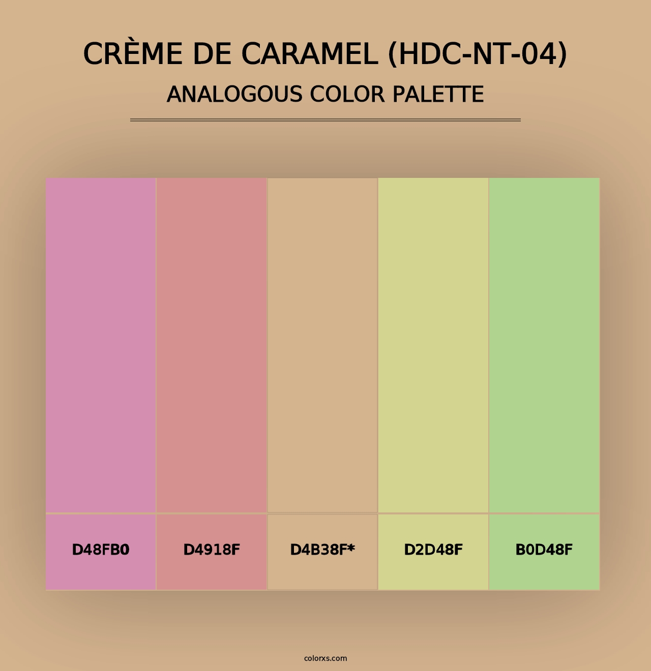 Crème De Caramel (HDC-NT-04) - Analogous Color Palette