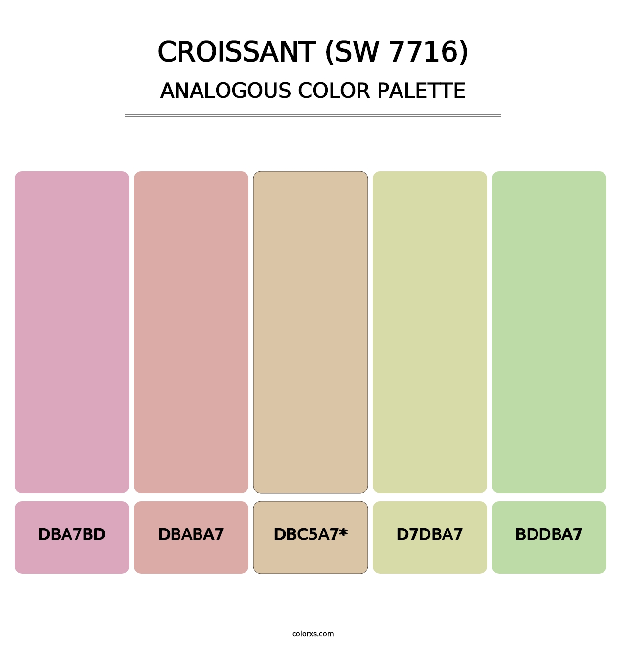 Croissant (SW 7716) - Analogous Color Palette