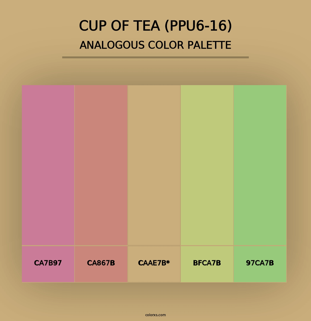 Cup Of Tea (PPU6-16) - Analogous Color Palette