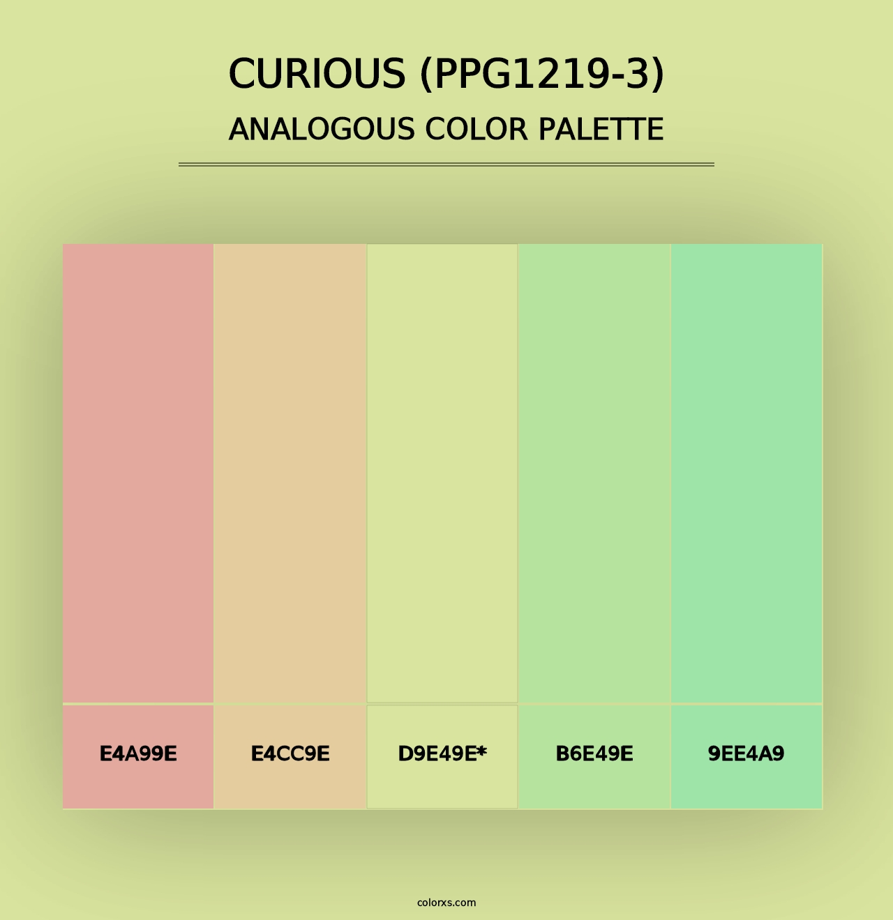 Curious (PPG1219-3) - Analogous Color Palette