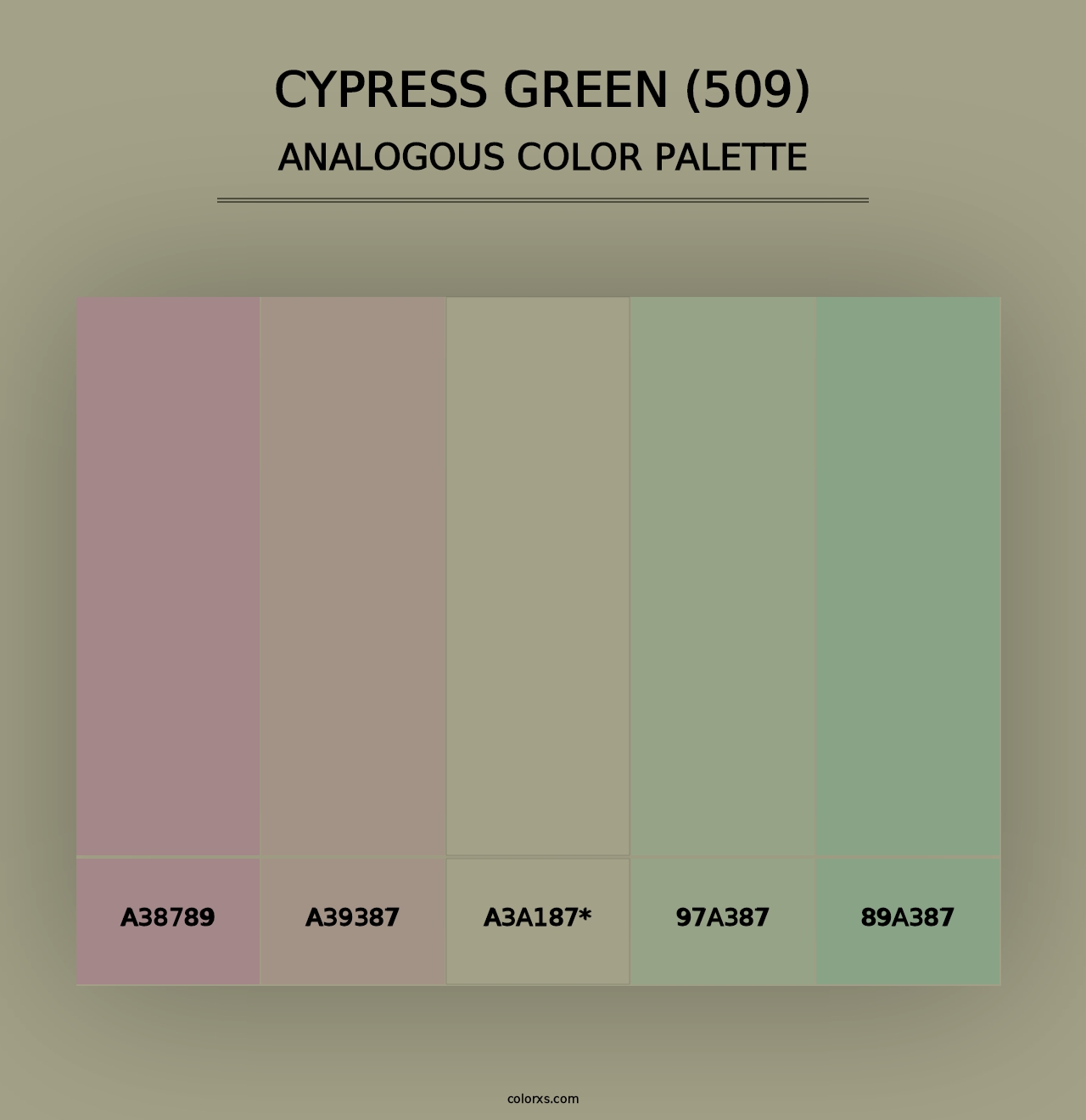 Cypress Green (509) - Analogous Color Palette