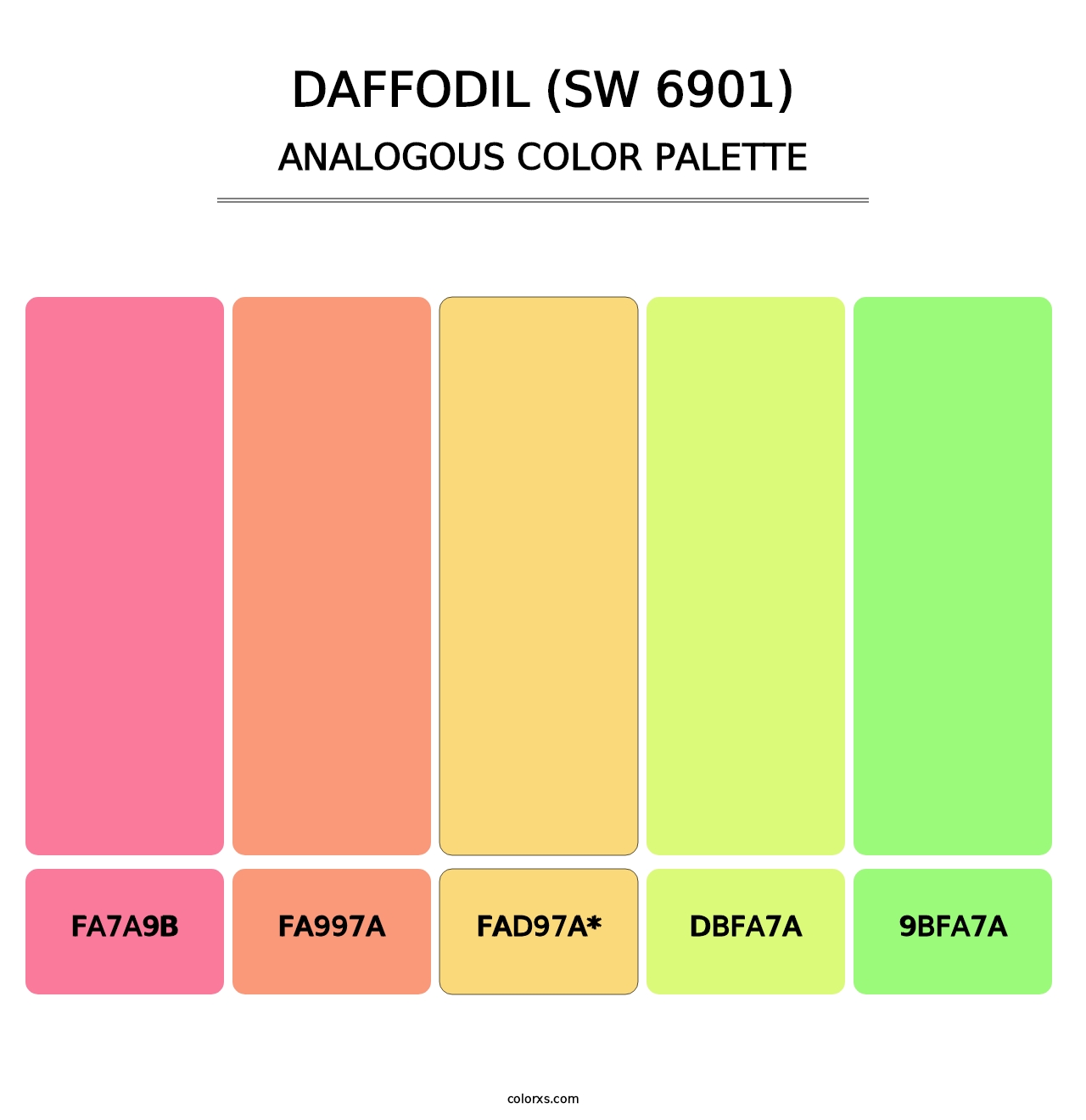 Daffodil (SW 6901) - Analogous Color Palette