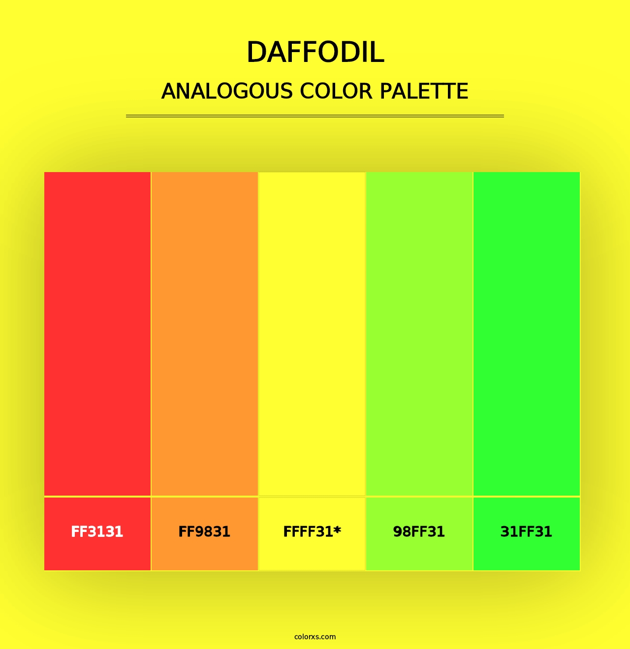 Daffodil - Analogous Color Palette