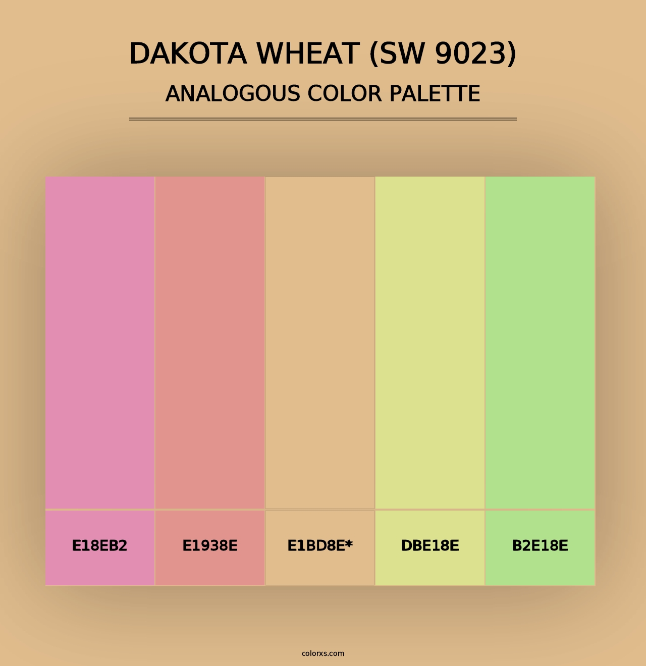 Dakota Wheat (SW 9023) - Analogous Color Palette