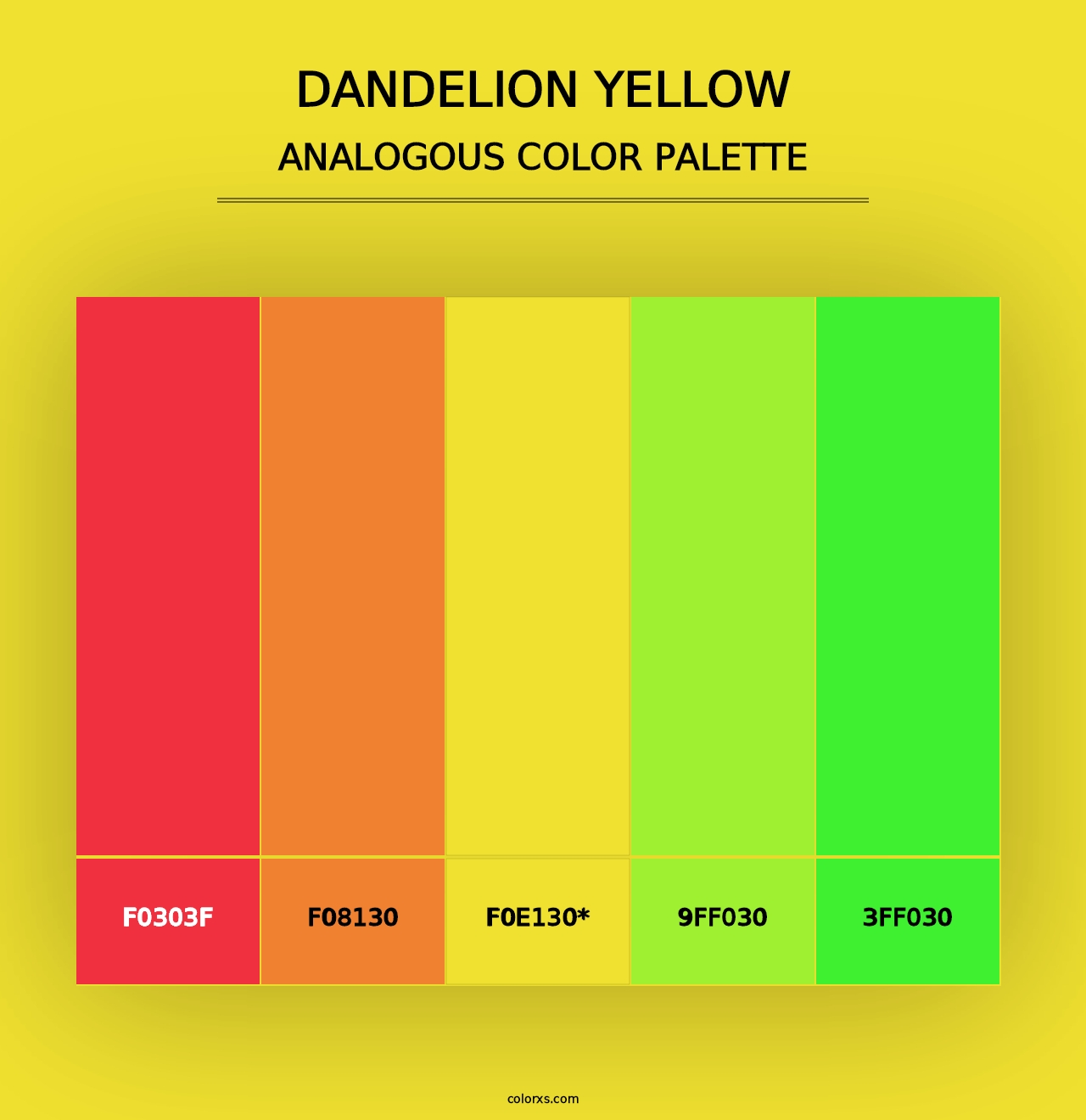 Dandelion Yellow - Analogous Color Palette