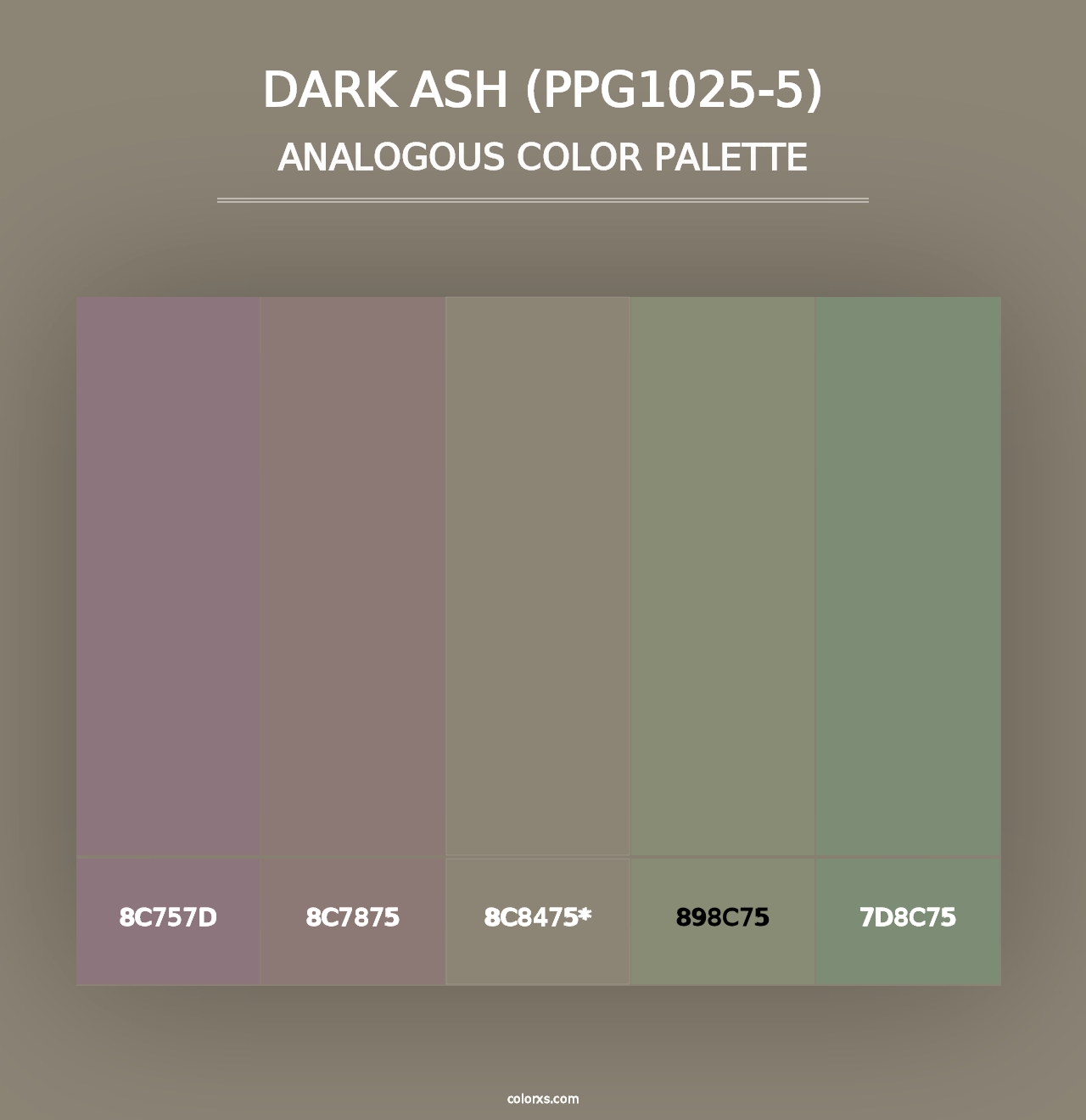 Dark Ash (PPG1025-5) - Analogous Color Palette