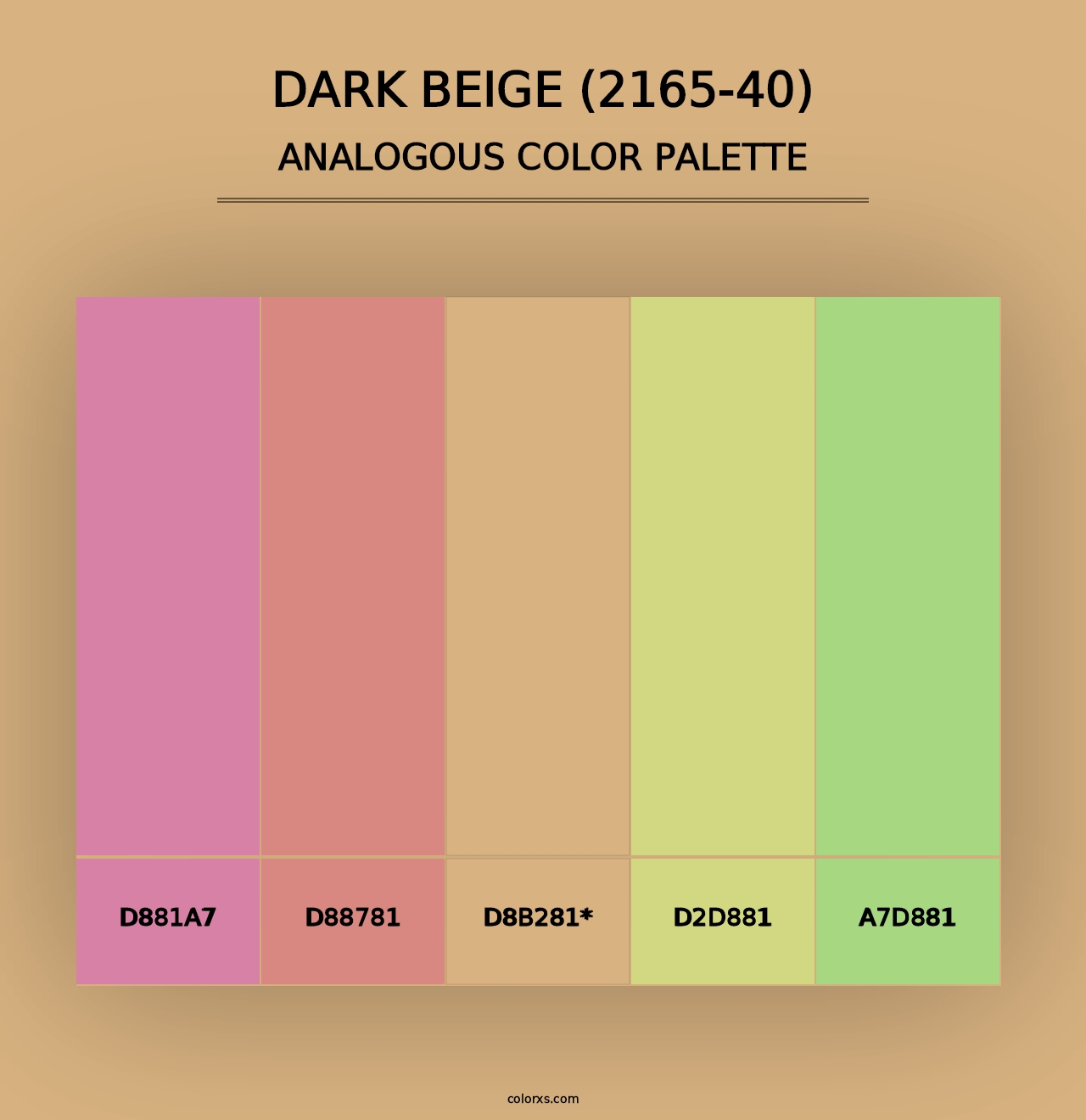 Dark Beige (2165-40) - Analogous Color Palette