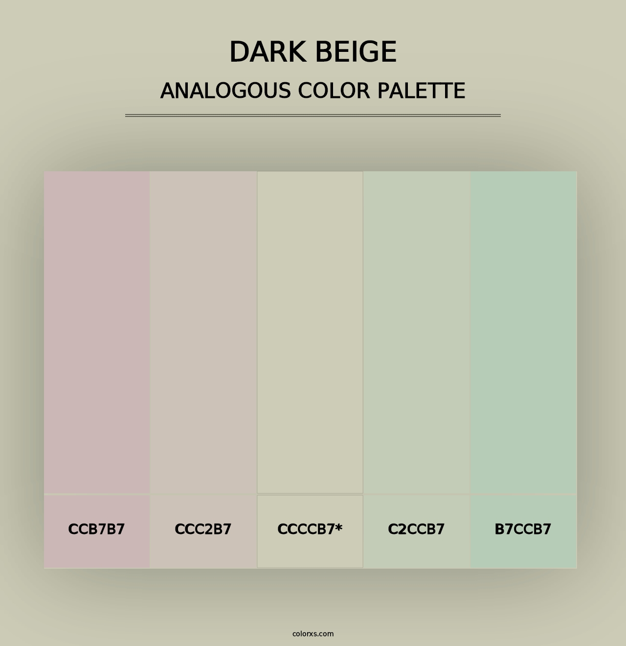 Dark Beige - Analogous Color Palette