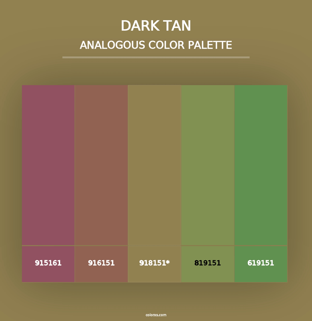 Dark Tan - Analogous Color Palette