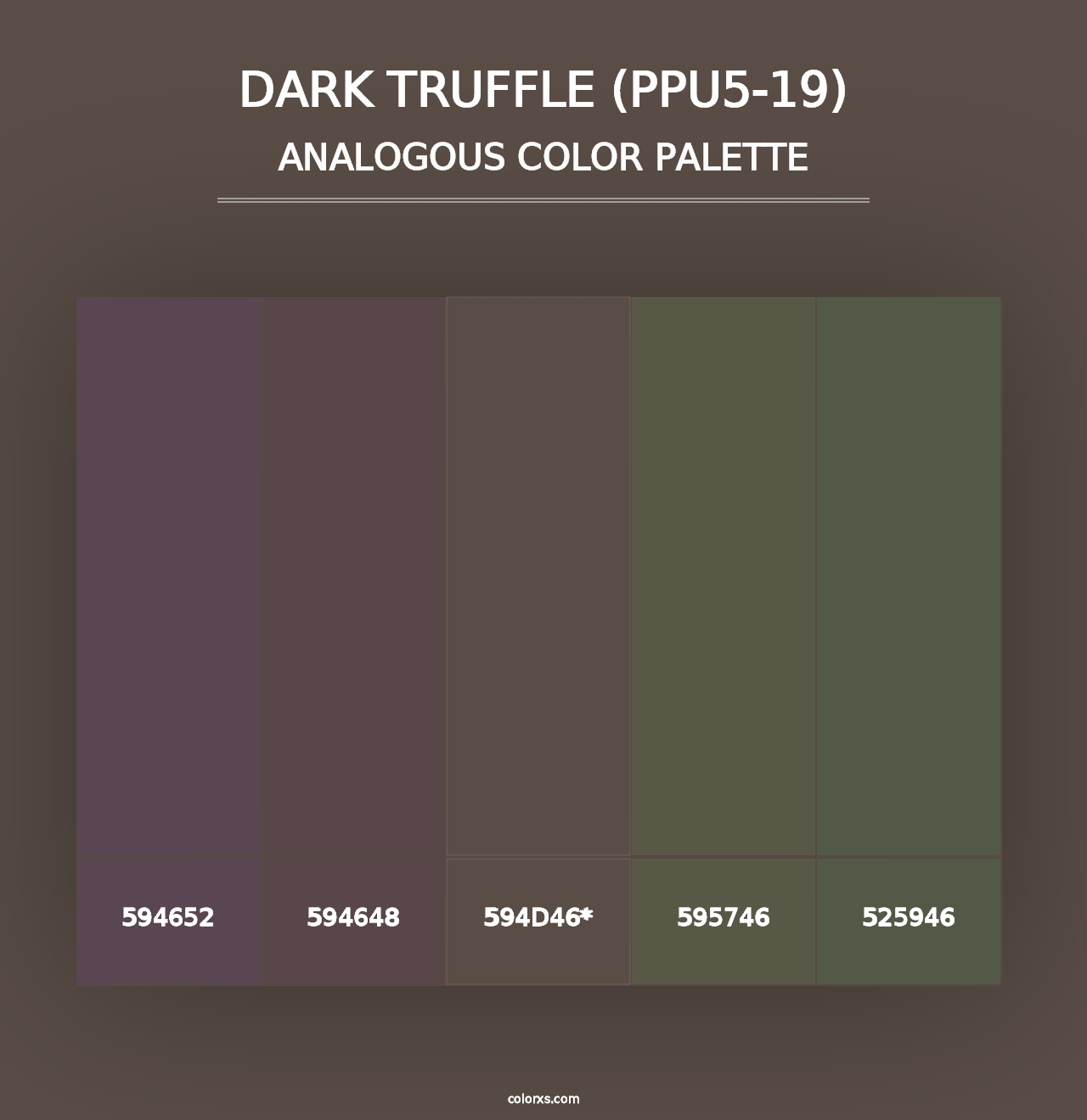 Dark Truffle (PPU5-19) - Analogous Color Palette