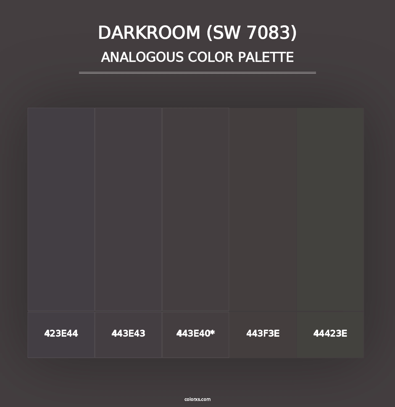 Darkroom (SW 7083) - Analogous Color Palette