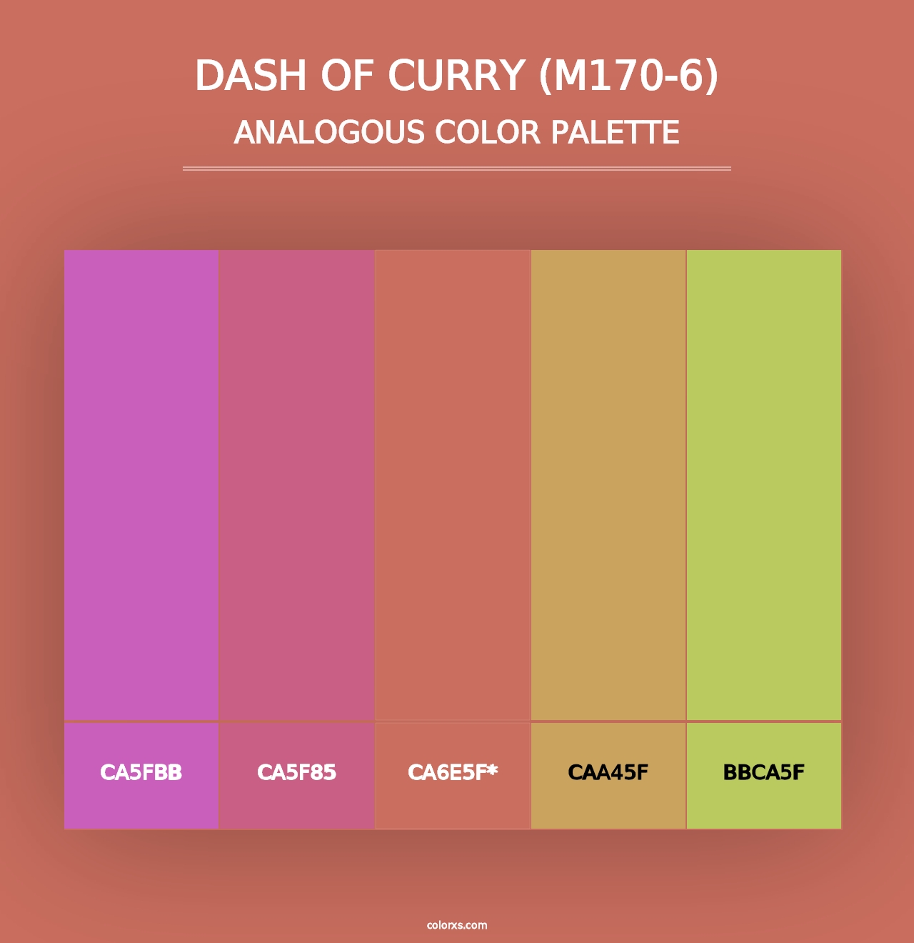 Dash Of Curry (M170-6) - Analogous Color Palette