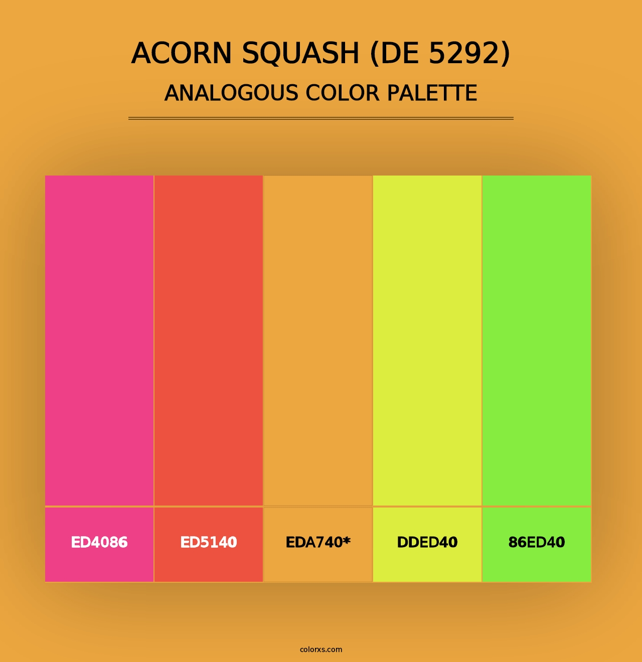 Acorn Squash (DE 5292) - Analogous Color Palette