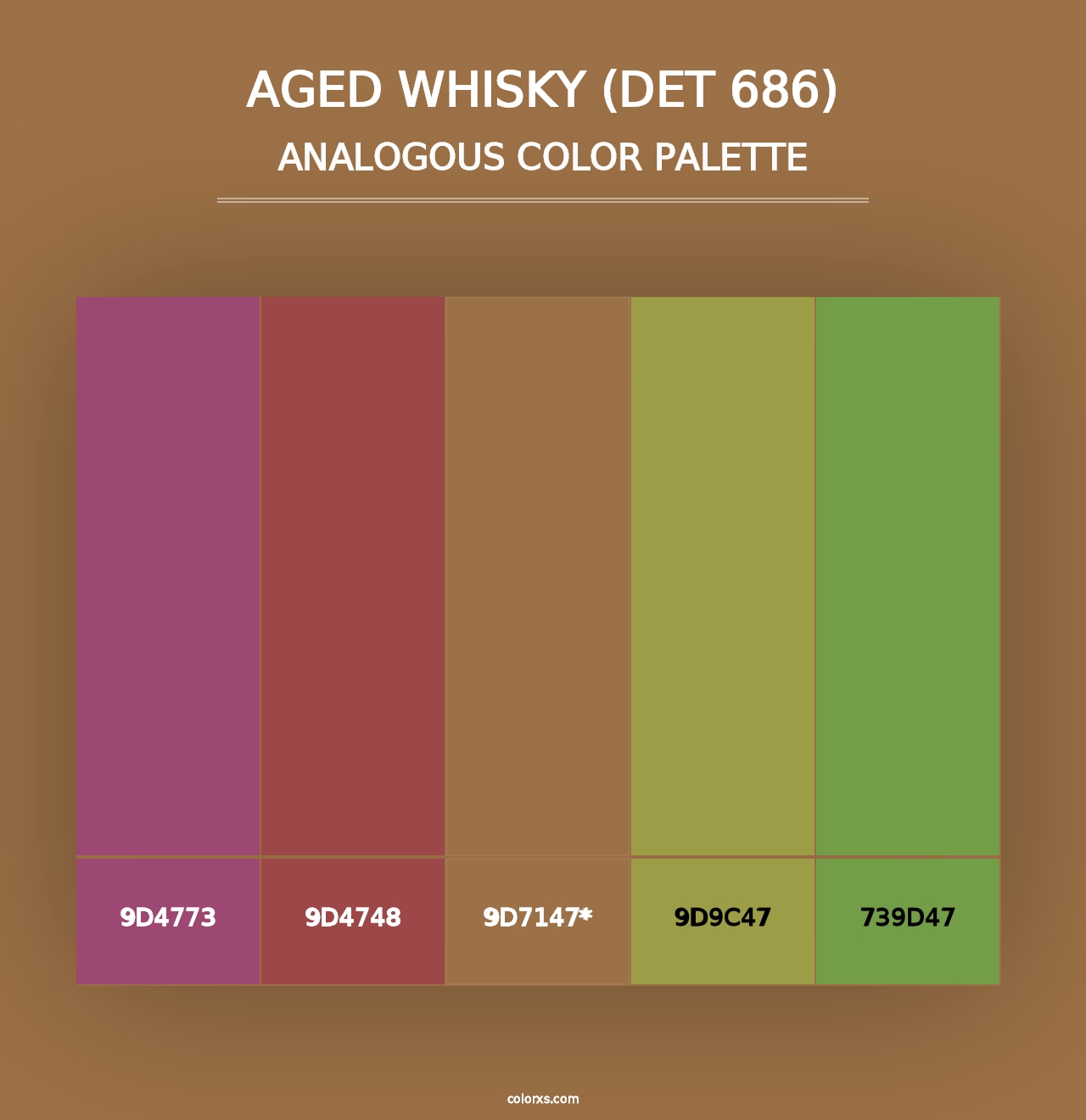 Aged Whisky (DET 686) - Analogous Color Palette