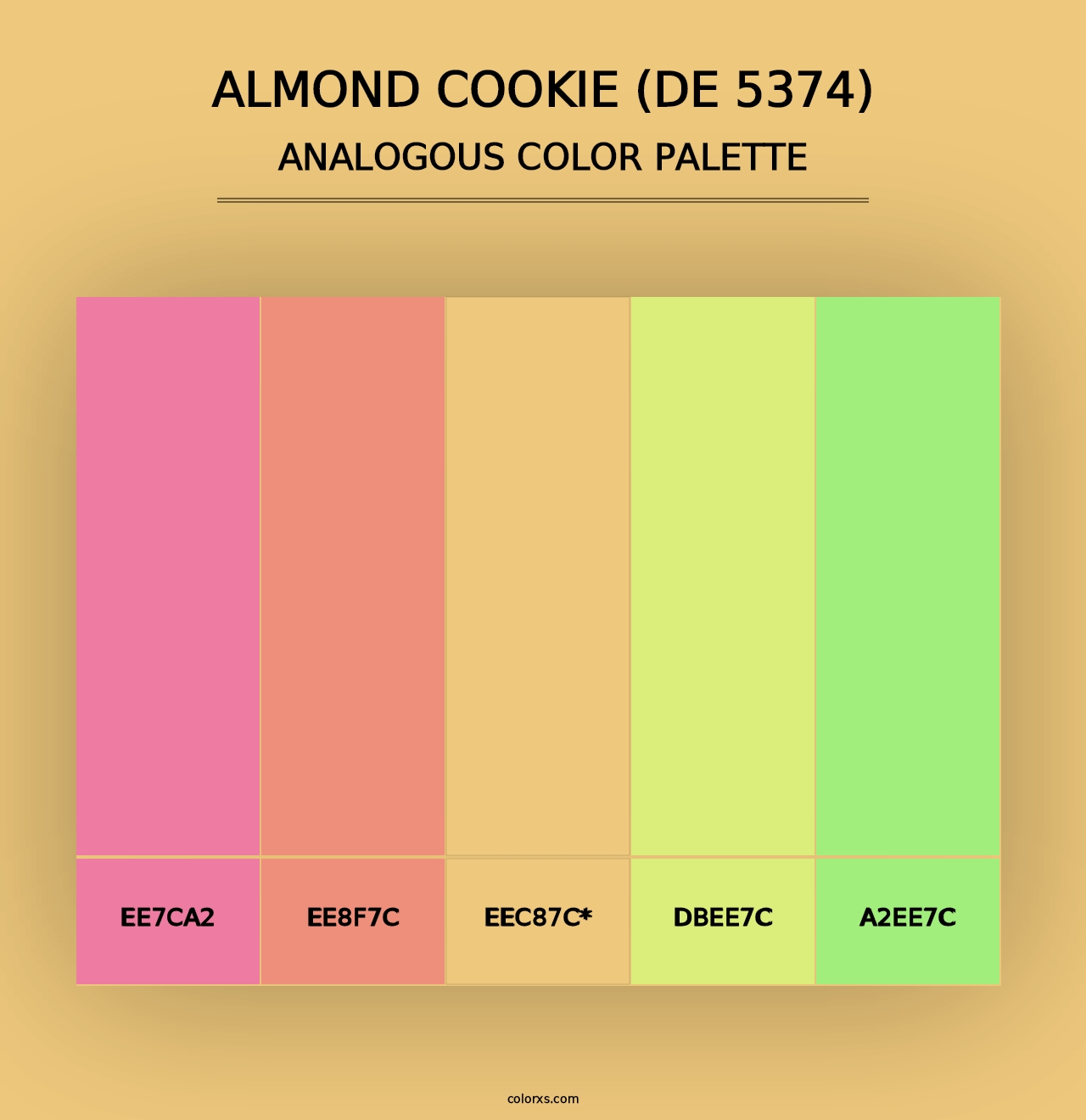 Almond Cookie (DE 5374) - Analogous Color Palette