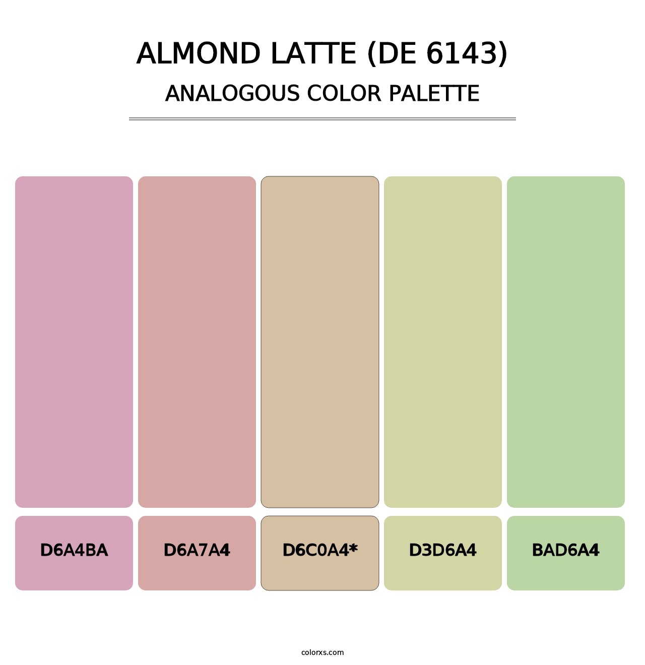 Almond Latte (DE 6143) - Analogous Color Palette