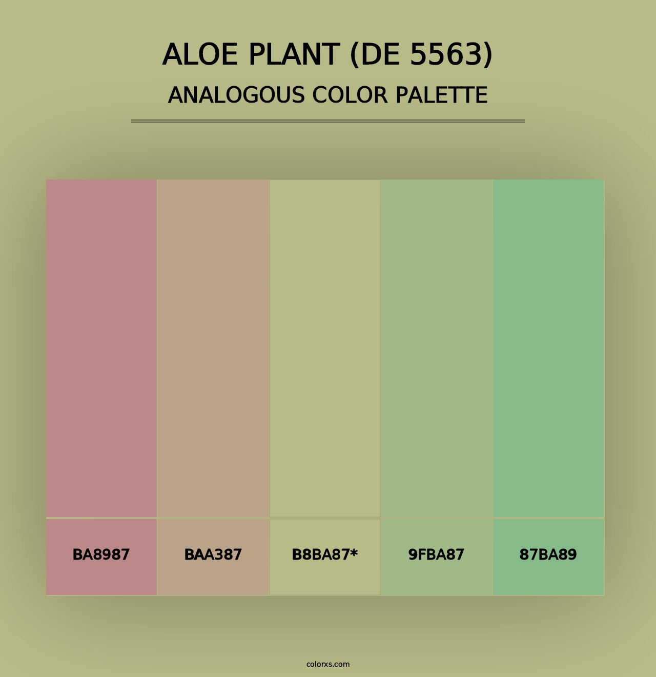 Aloe Plant (DE 5563) - Analogous Color Palette