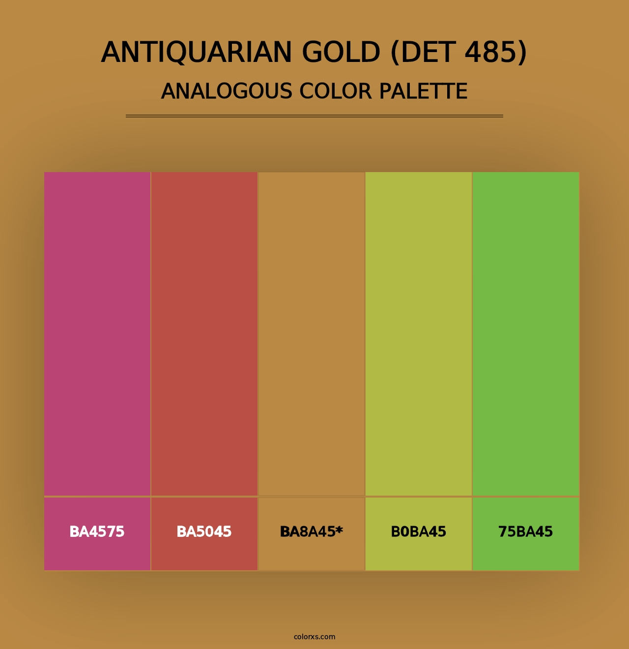 Antiquarian Gold (DET 485) - Analogous Color Palette