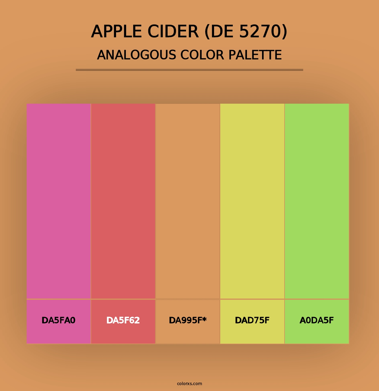 Apple Cider (DE 5270) - Analogous Color Palette