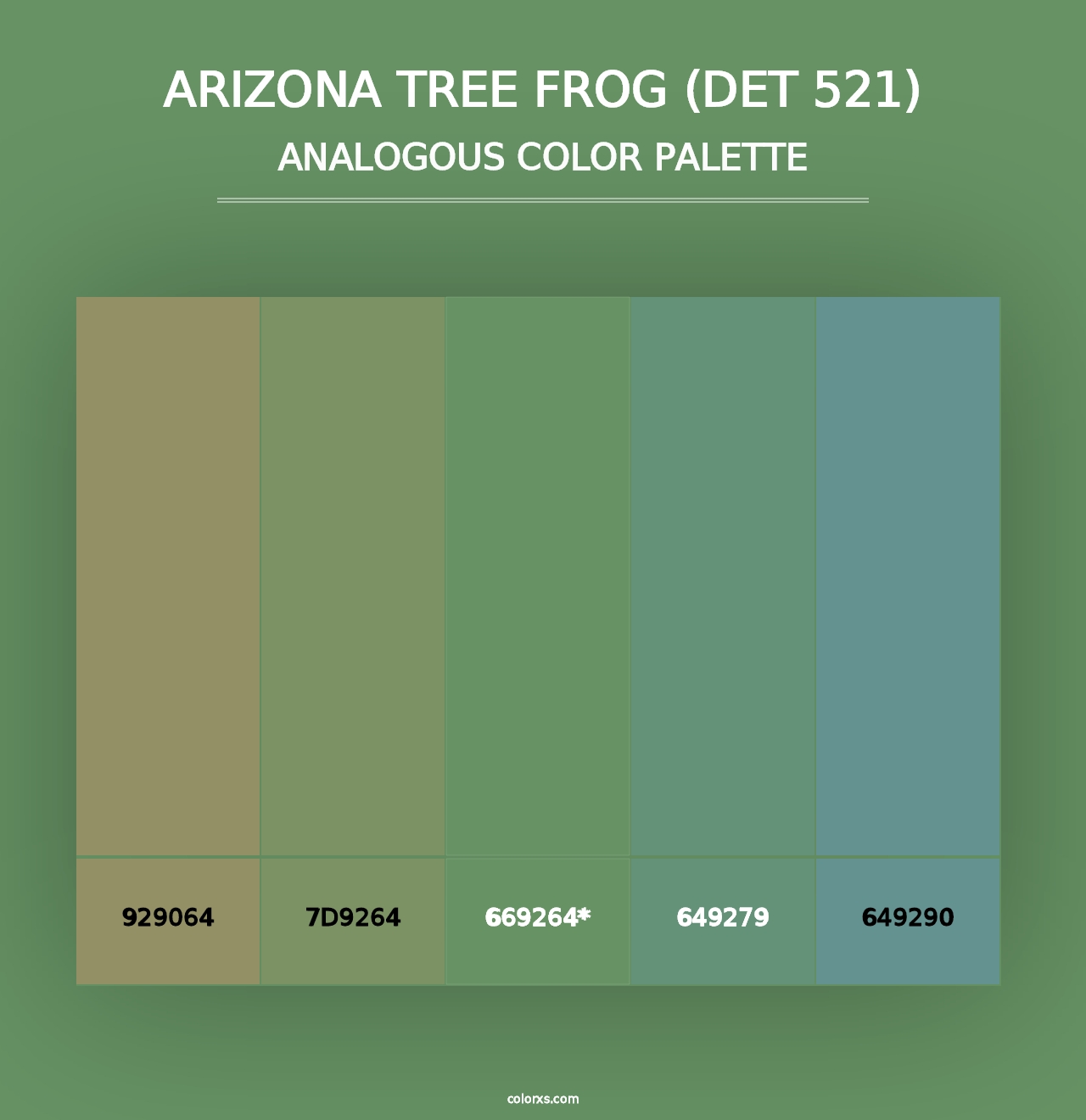 Arizona Tree Frog (DET 521) - Analogous Color Palette