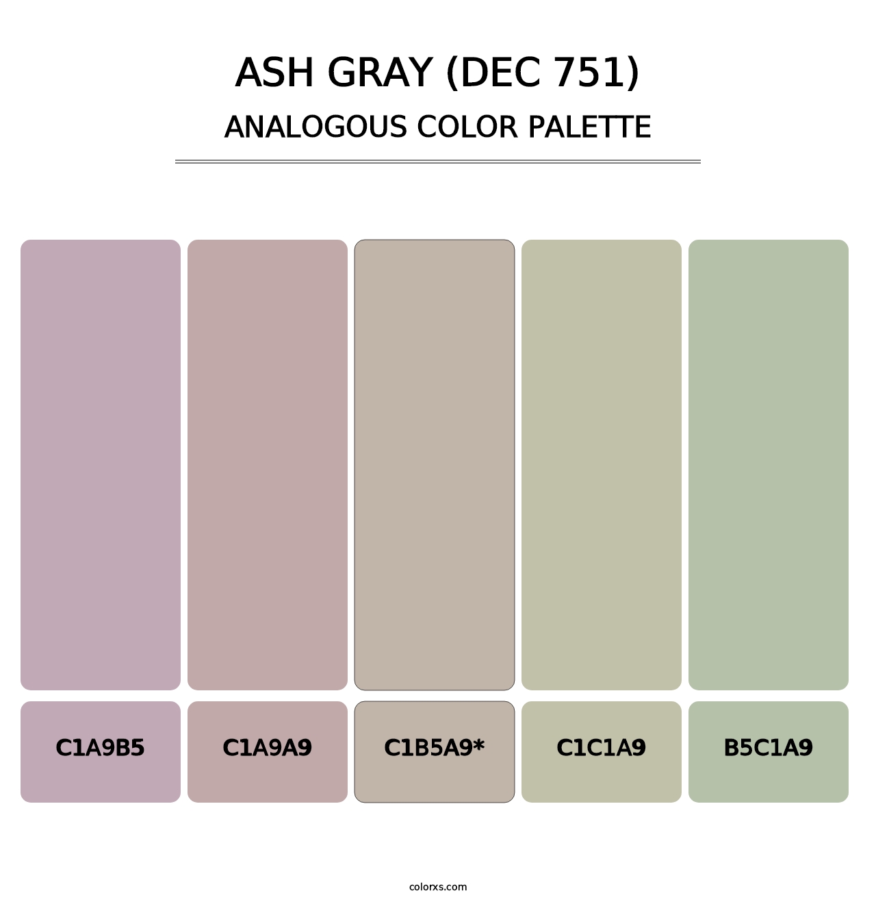 Ash Gray (DEC 751) - Analogous Color Palette