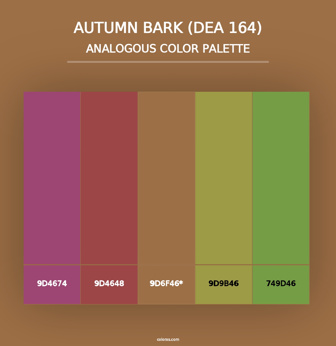 Autumn Bark (DEA 164) - Analogous Color Palette