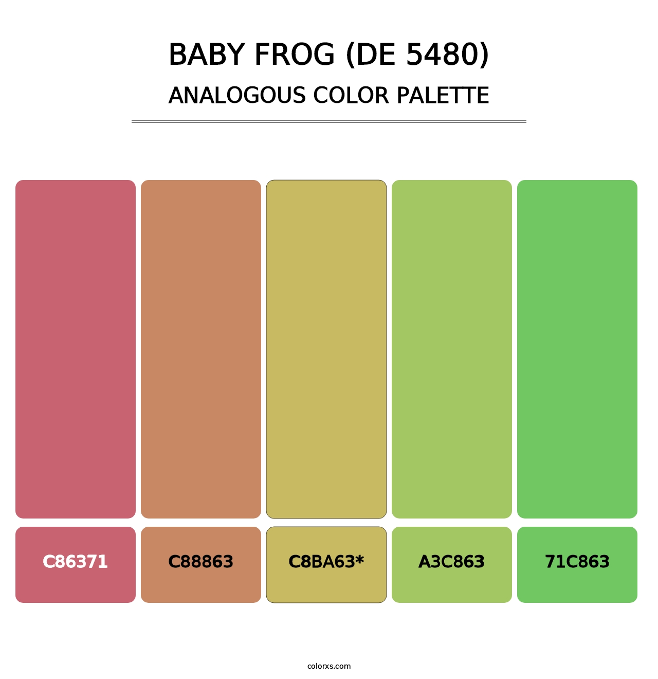 Baby Frog (DE 5480) - Analogous Color Palette