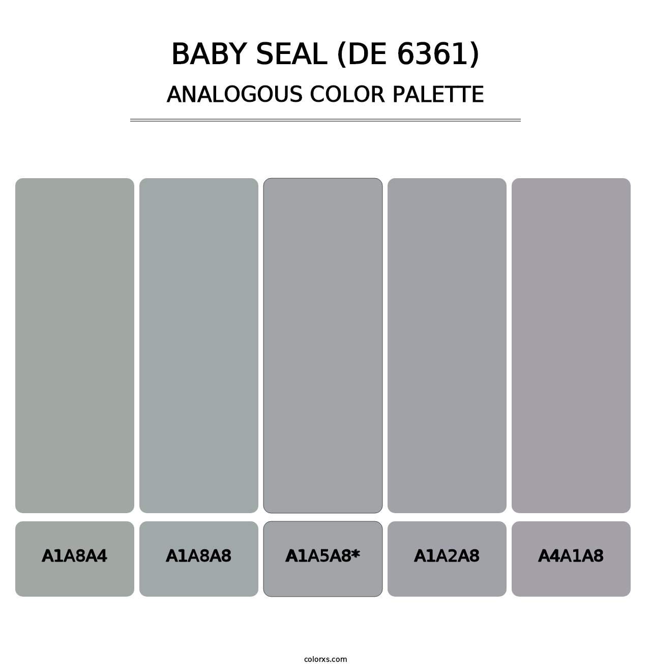 Baby Seal (DE 6361) - Analogous Color Palette