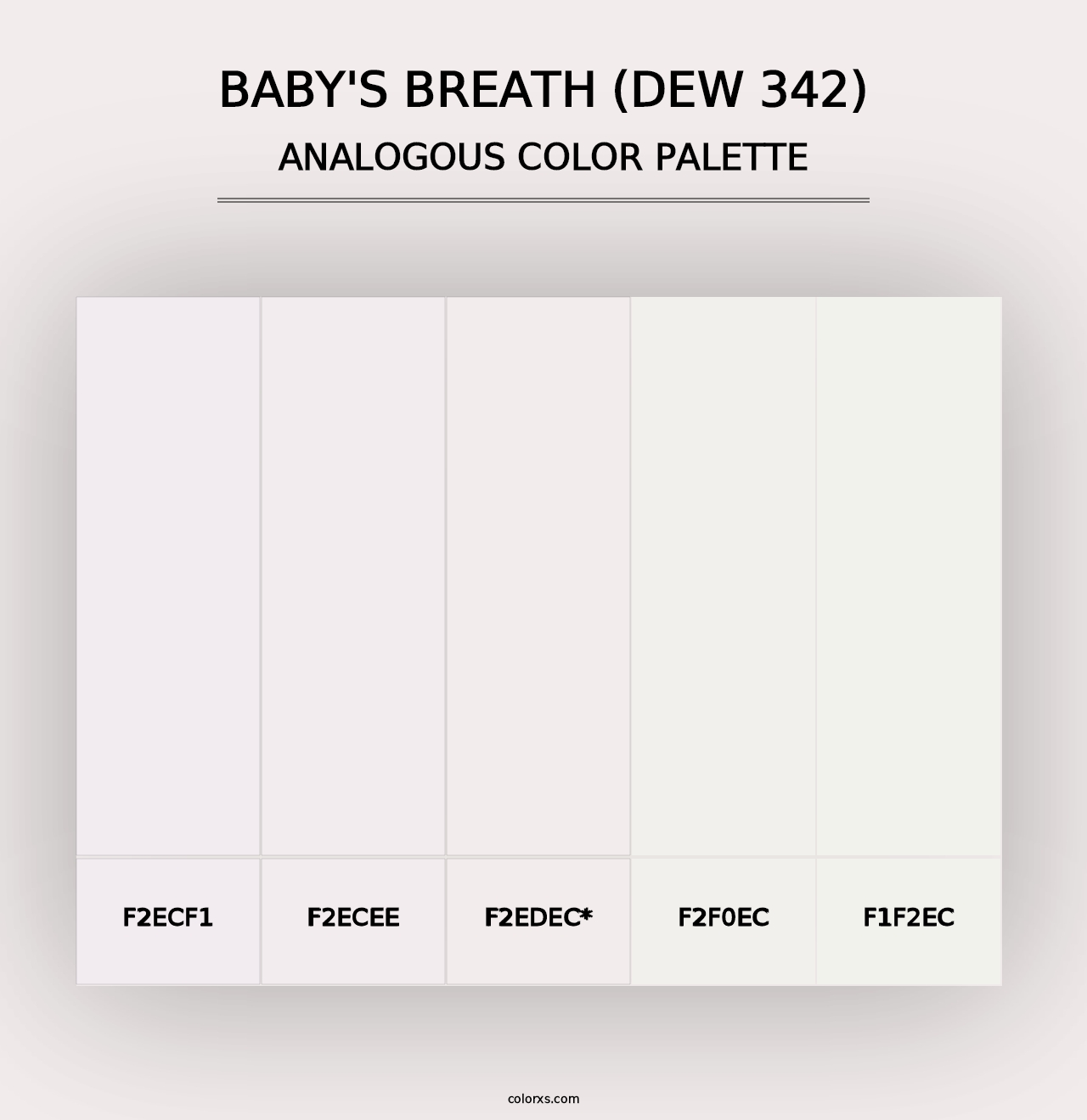 Baby's Breath (DEW 342) - Analogous Color Palette