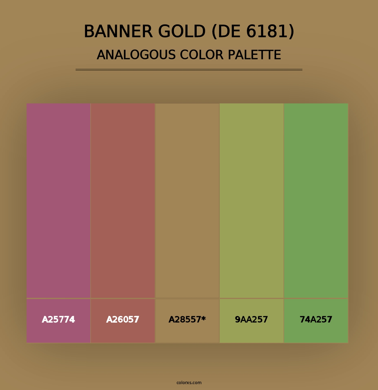 Banner Gold (DE 6181) - Analogous Color Palette