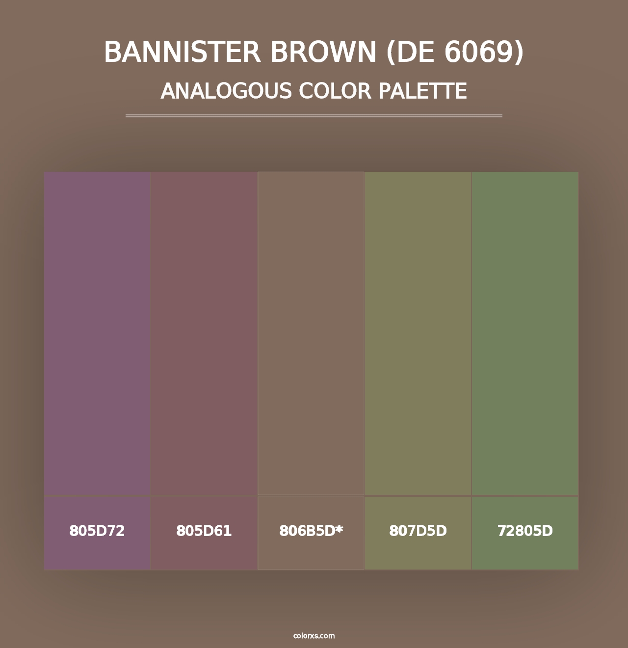 Bannister Brown (DE 6069) - Analogous Color Palette