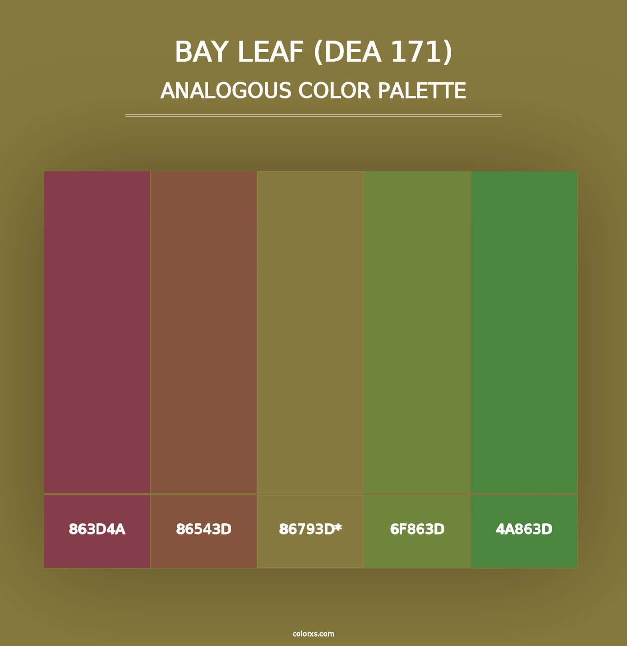 Bay Leaf (DEA 171) - Analogous Color Palette