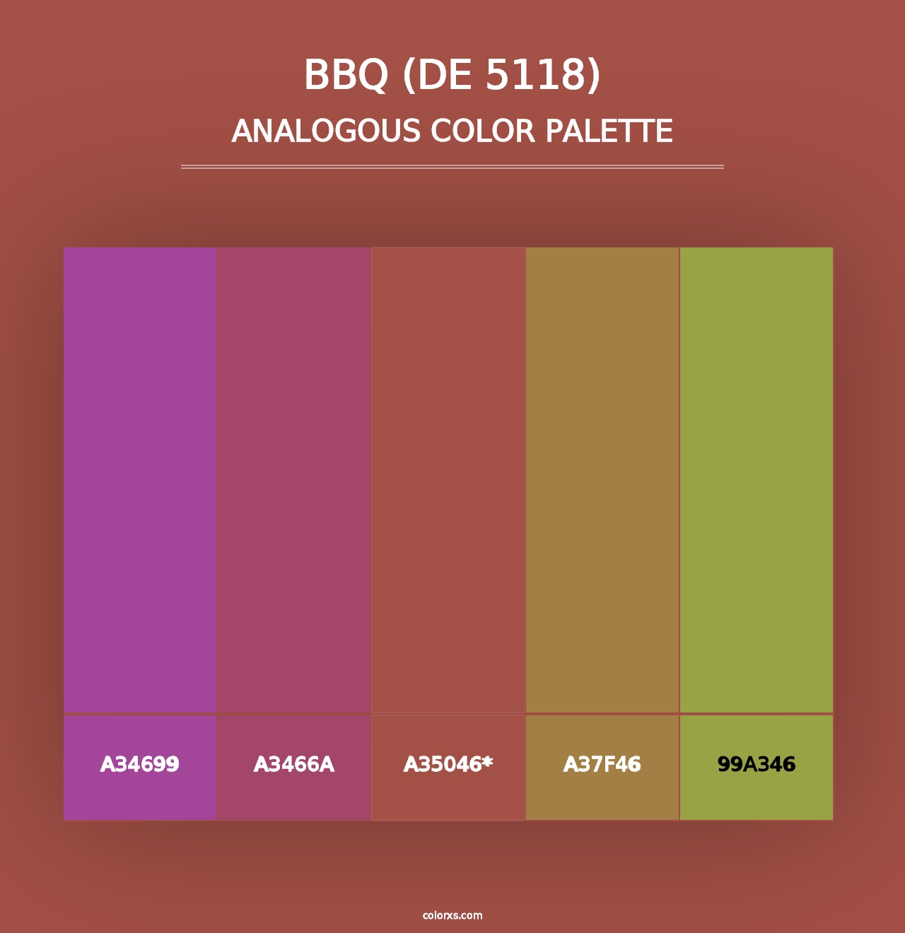 BBQ (DE 5118) - Analogous Color Palette