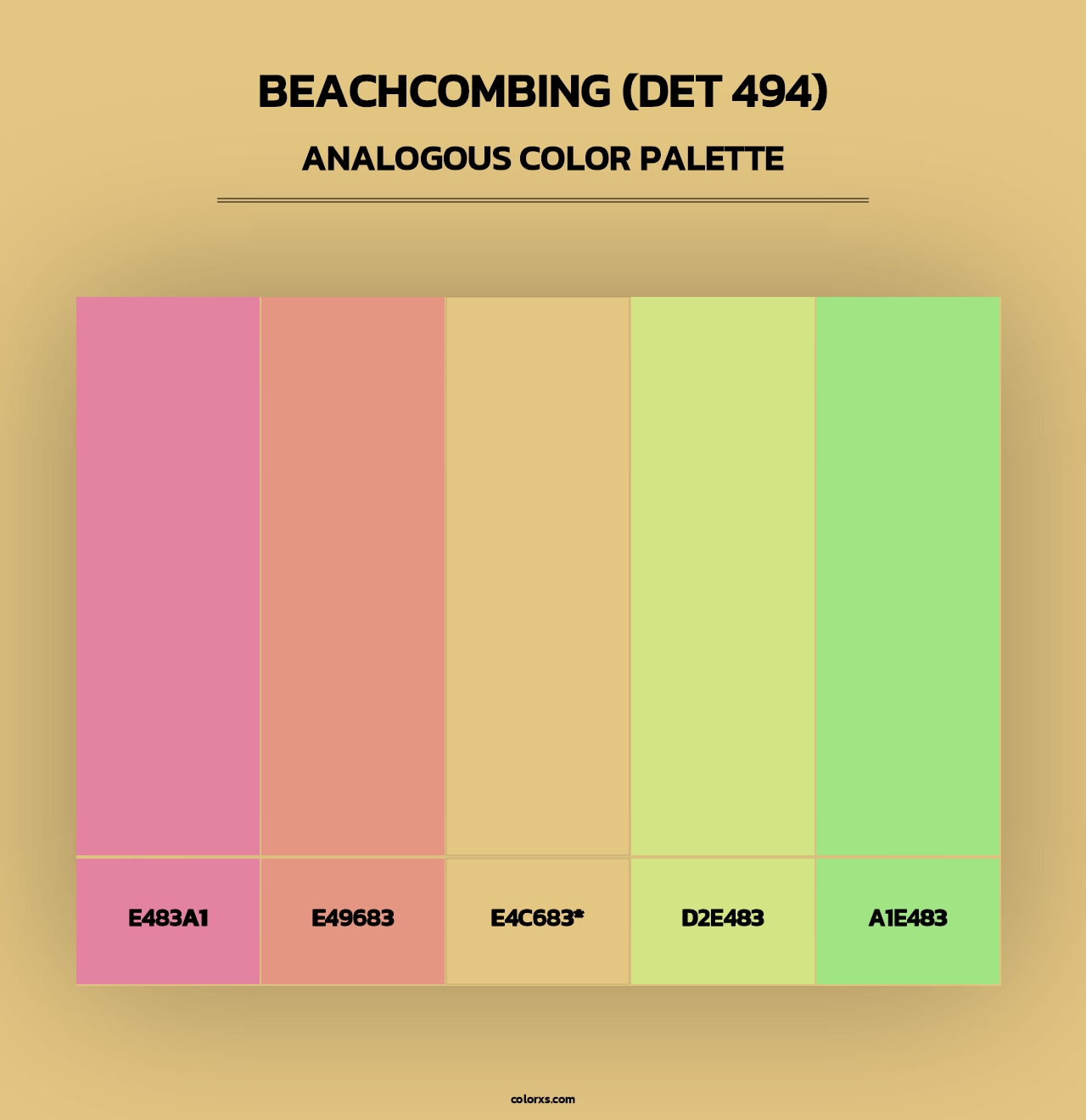 Beachcombing (DET 494) - Analogous Color Palette