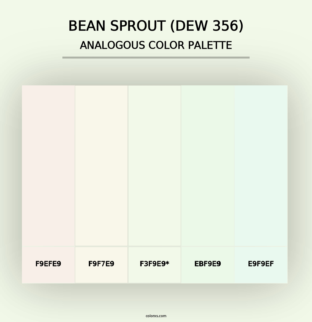 Bean Sprout (DEW 356) - Analogous Color Palette