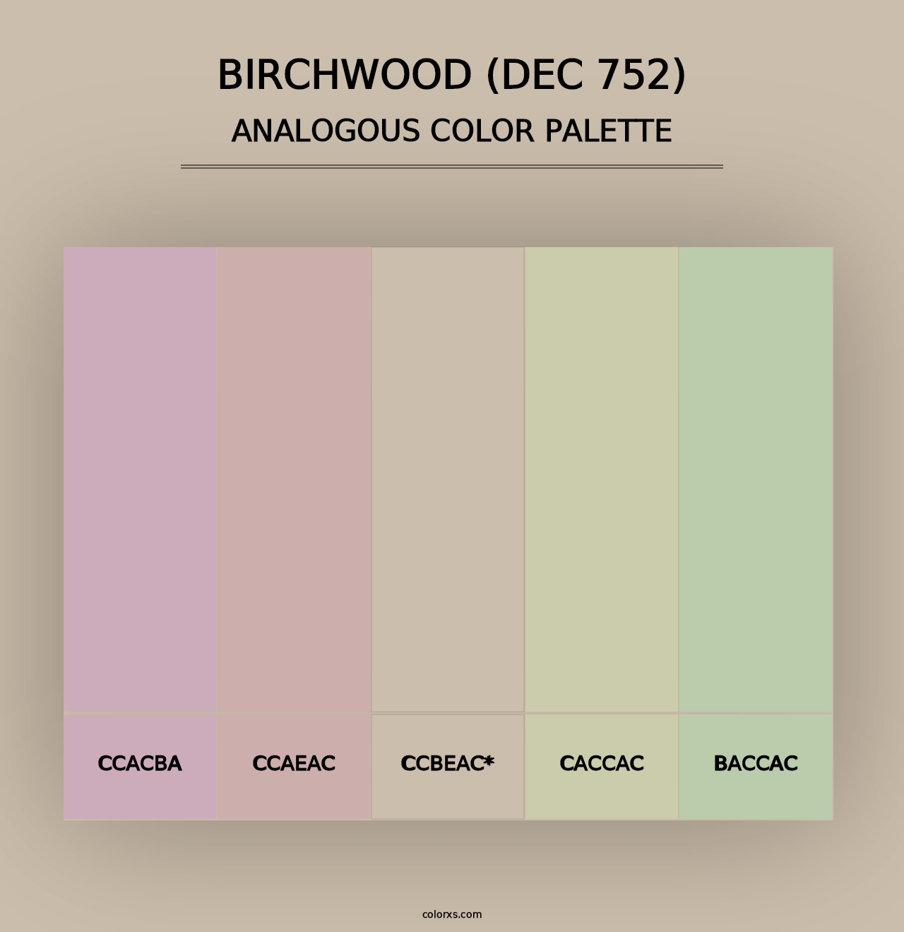 Birchwood (DEC 752) - Analogous Color Palette