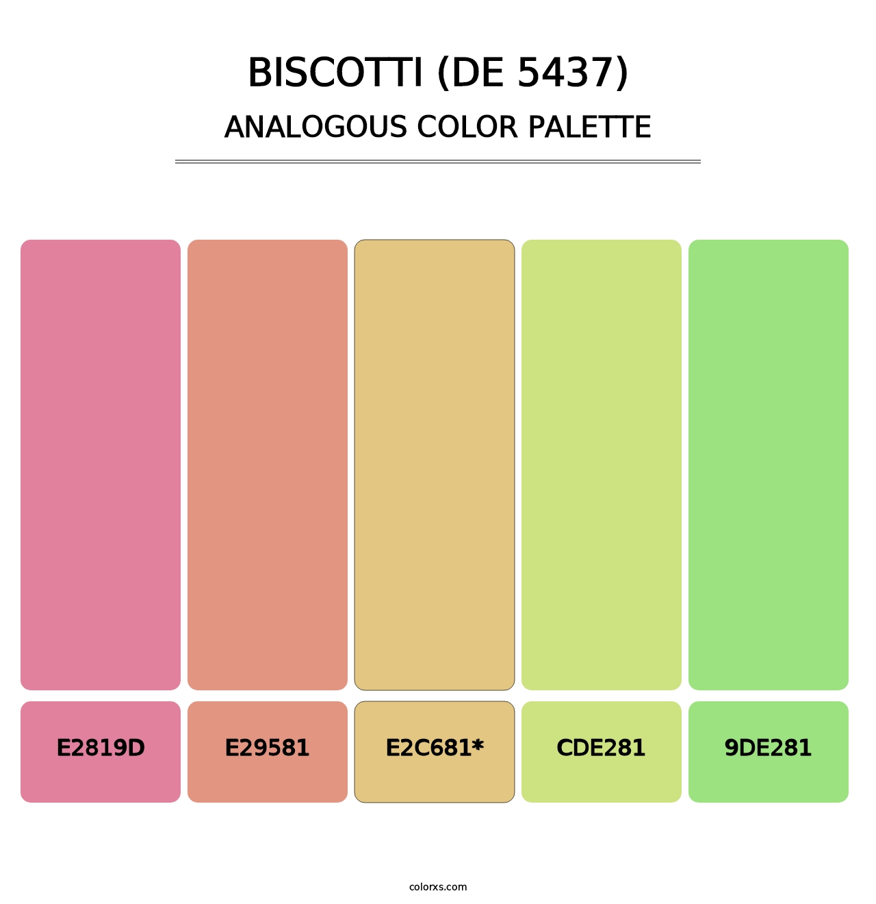 Biscotti (DE 5437) - Analogous Color Palette