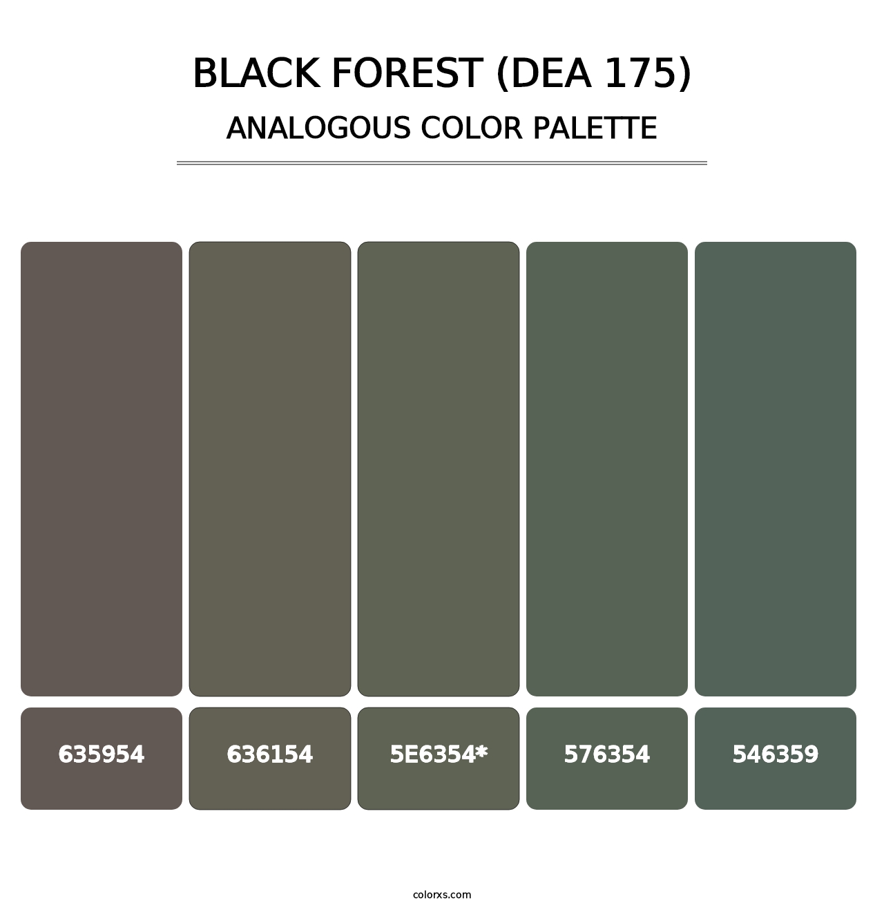 Black Forest (DEA 175) - Analogous Color Palette