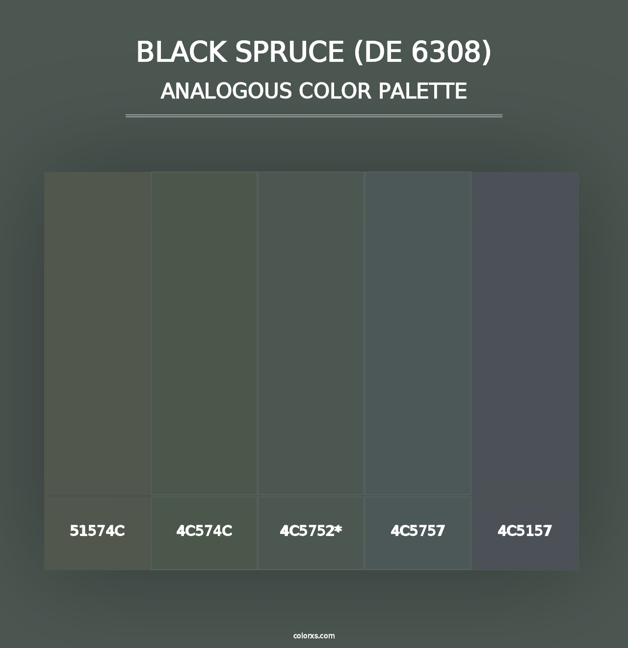 Black Spruce (DE 6308) - Analogous Color Palette