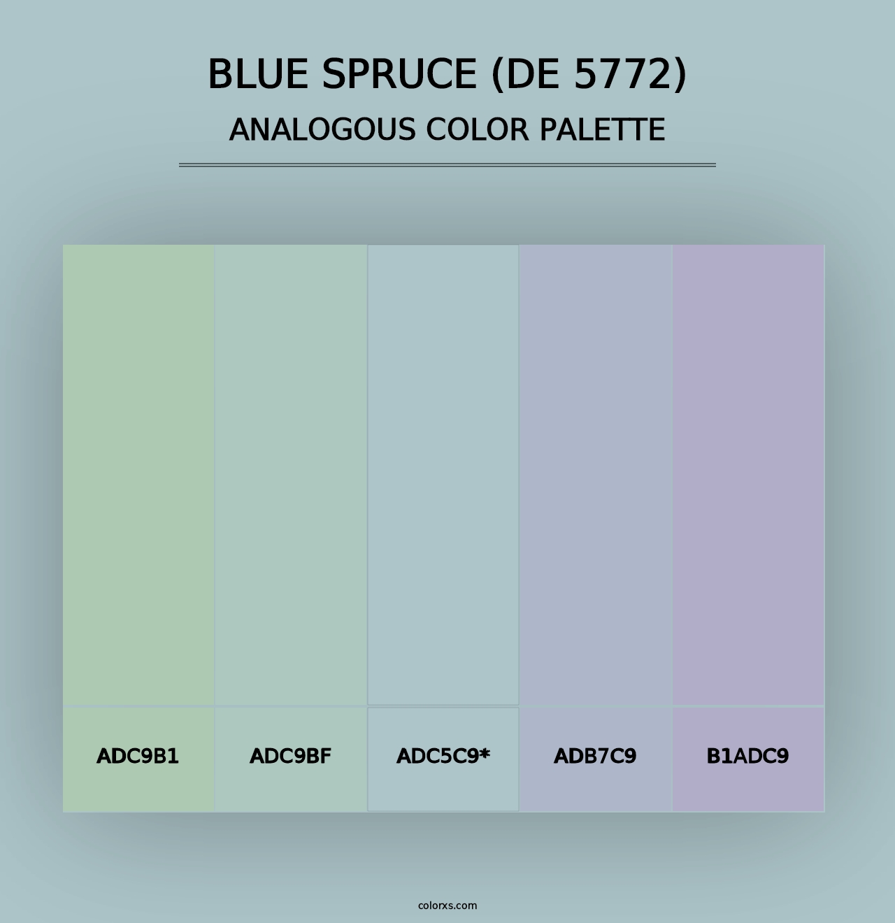 Blue Spruce (DE 5772) - Analogous Color Palette