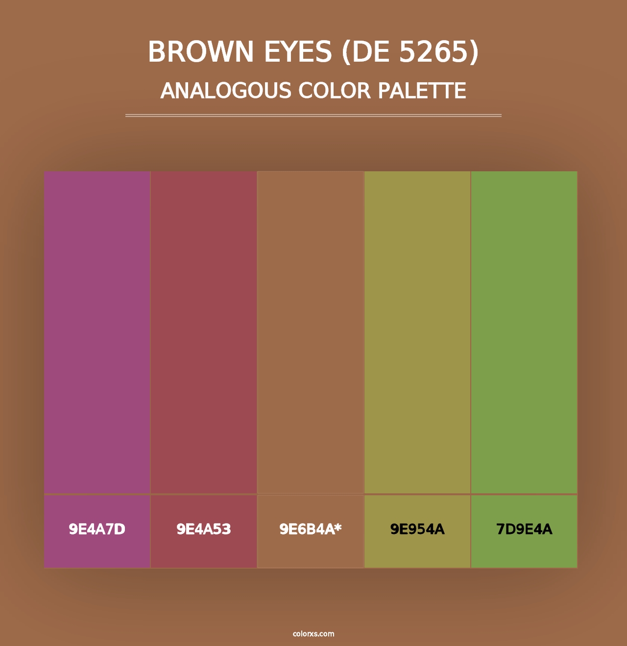 Brown Eyes (DE 5265) - Analogous Color Palette